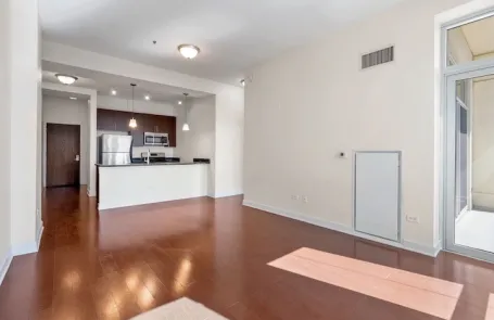 1 Bedroom South Loop Apartment