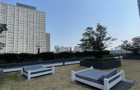 1 Bedroom South Loop Apartment