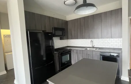 1 Bedroom South Loop Apartment