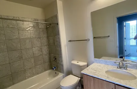 1 Bedroom South Loop Apartment