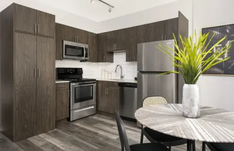 Studio Chicago Loop Apartment