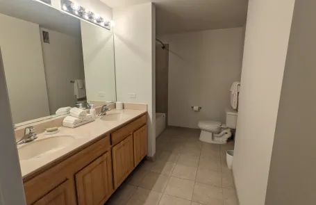 1 Bedroom Fulton Market Apartment