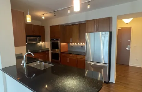 2 Bedroom South Loop Apartment