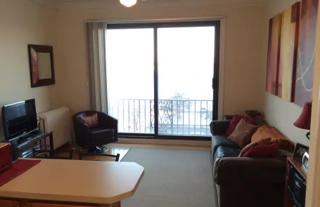 1 Bedroom Lakeview Apartment