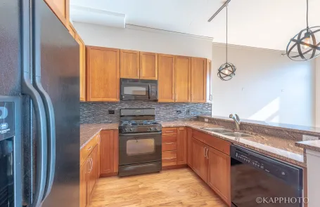 1 Bedroom South Loop Condo