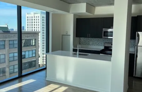 1 Bedroom South Loop Apartment