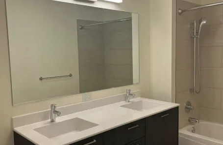 1 Bedroom South Loop Apartment