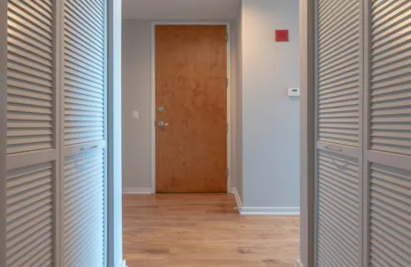 1 Bedroom South Loop Condo
