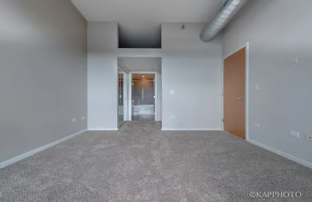 1 Bedroom South Loop Condo