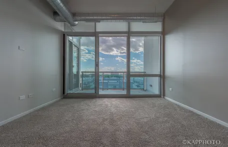 1 Bedroom South Loop Condo