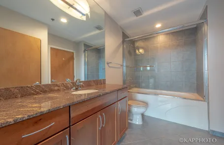 1 Bedroom South Loop Condo