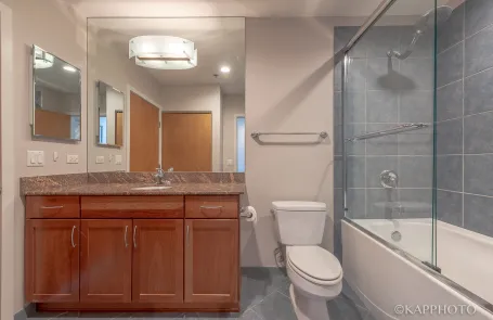 1 Bedroom South Loop Condo