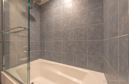 1 Bedroom South Loop Condo