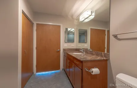 1 Bedroom South Loop Condo