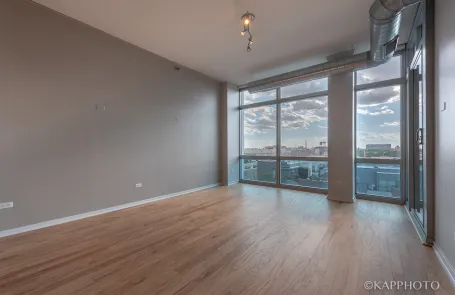 1 Bedroom South Loop Condo