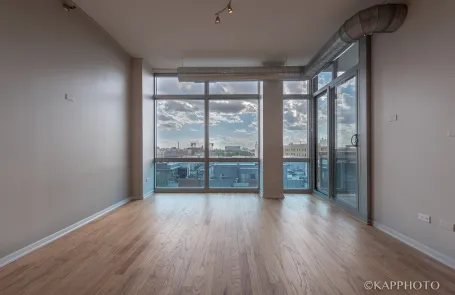 1 Bedroom South Loop Condo