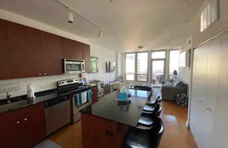 1 Bedroom West Loop Apartment