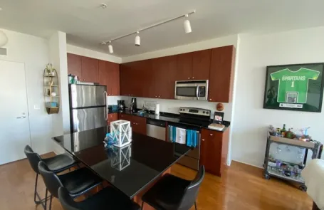 1 Bedroom West Loop Apartment