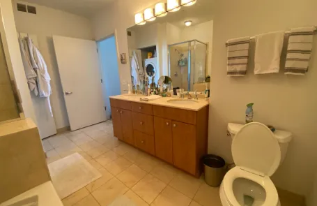 1 Bedroom West Loop Apartment