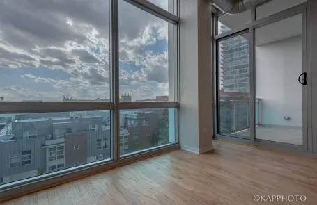1 Bedroom South Loop Condo