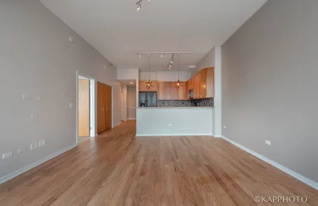 1 Bedroom South Loop Condo