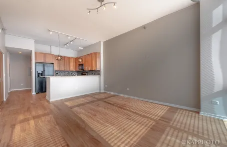 1 Bedroom South Loop Condo