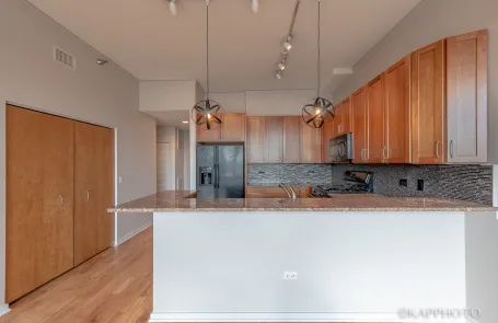 1 Bedroom South Loop Condo