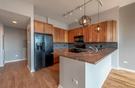 1 Bedroom South Loop Condo