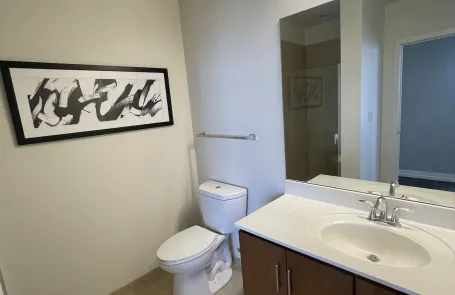 2 Bedroom South Loop Apartment