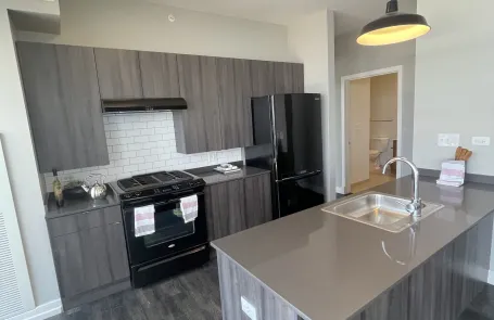 2 Bedroom South Loop Apartment
