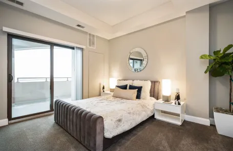 1 Bedroom South Loop Apartment