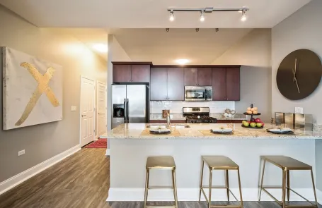 2 Bedroom South Loop Apartment