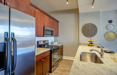 2 Bedroom South Loop Apartment