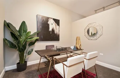 2 Bedroom South Loop Apartment