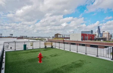 1 Bedroom South Loop Apartment