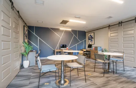 1 Bedroom South Loop Apartment