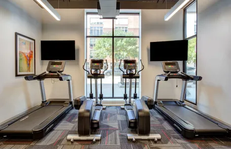 1 Bedroom South Loop Apartment