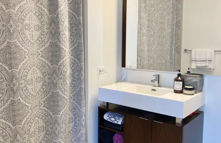 1 Bedroom Streeterville Apartment