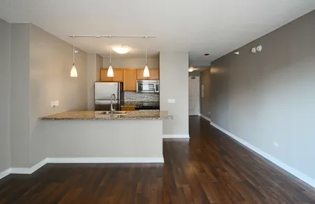 Studio River North Apartment