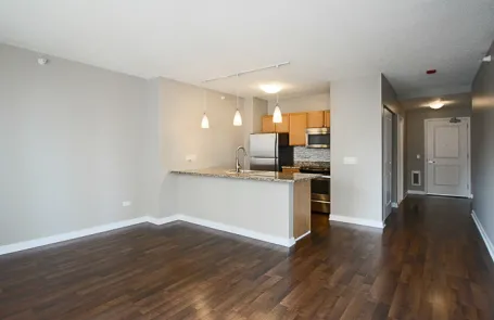 Studio River North Apartment