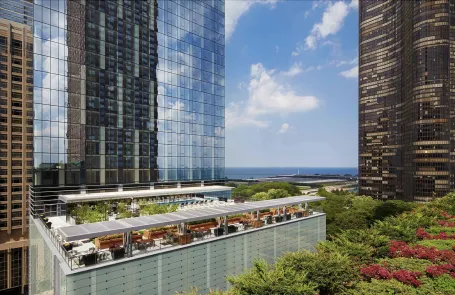 1 Bedroom Streeterville Apartment