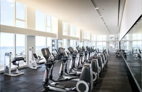 1 Bedroom Streeterville Apartment