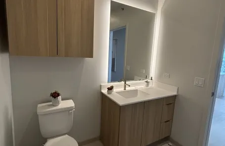 2 Bedroom Lincoln Park Apartment