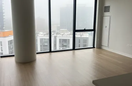 1 Bedroom Lincoln Park Apartment