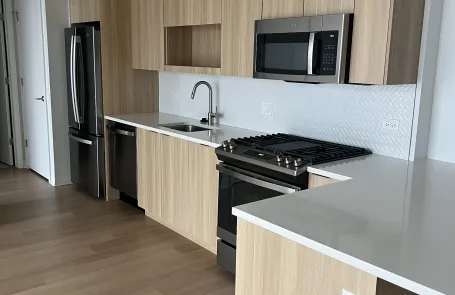 1 Bedroom Lincoln Park Apartment