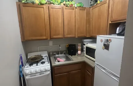 Studio Lakeview Apartment