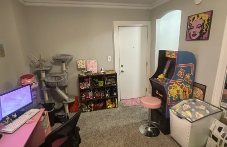 Studio Lakeview Apartment