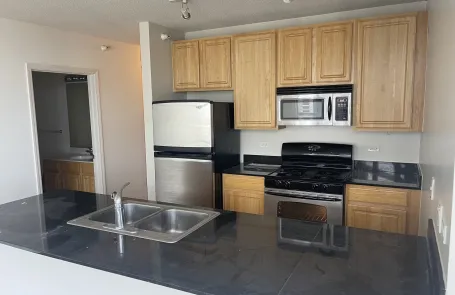 2 Bedroom Fulton Market Apartment