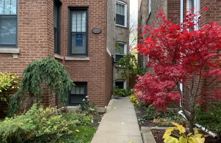 1 Bedroom Albany Park Apartment