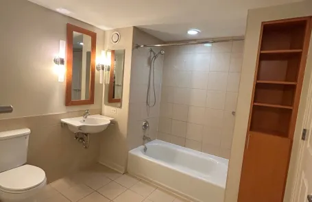 1 Bedroom South Loop Apartment